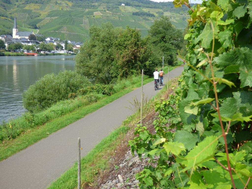 Sonnenhaus Ferienwohnungen Traben-Trarbach Luaran gambar